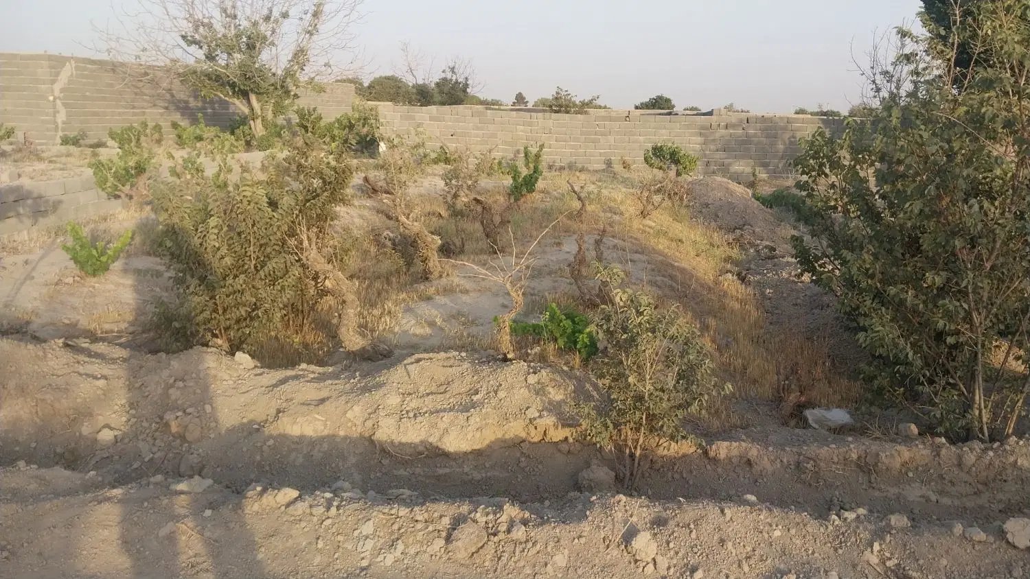 فروش زمین