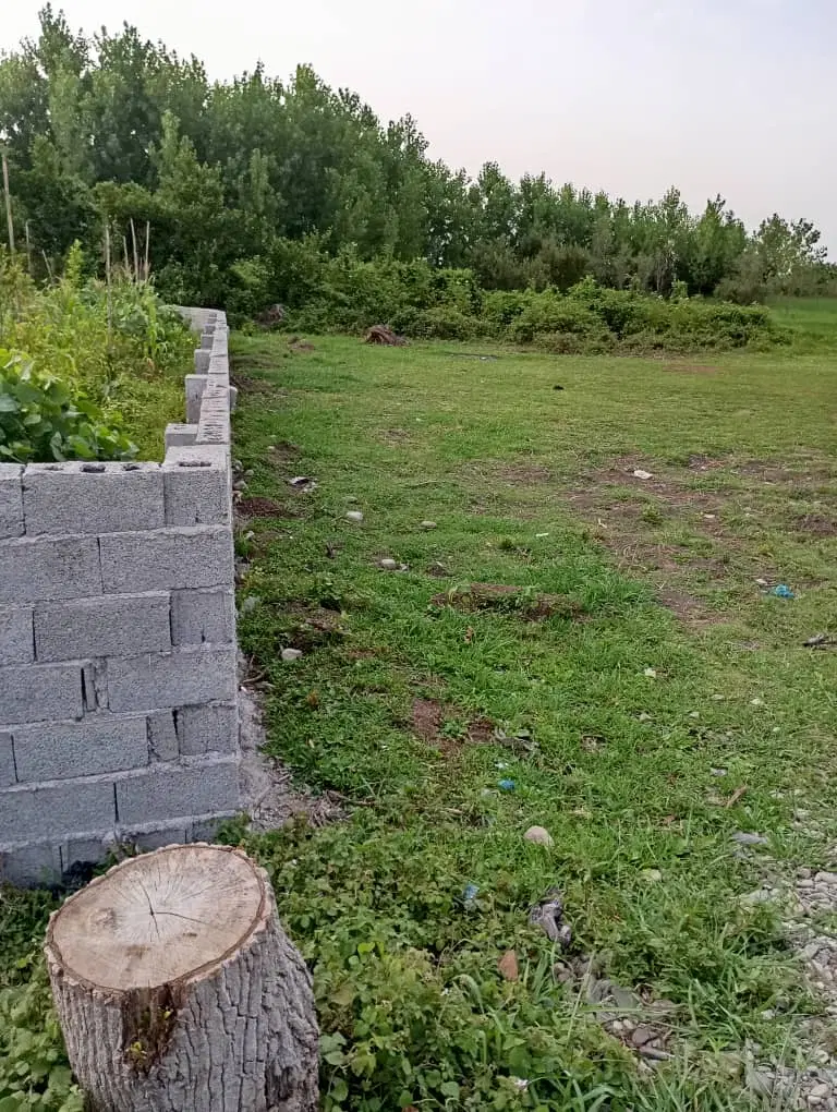 فروش زمین در گیلان زیبا