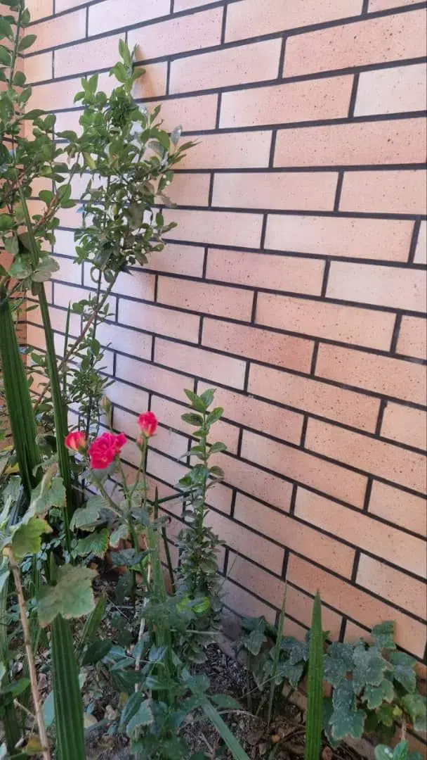 مغازه شهرک جوشکاران