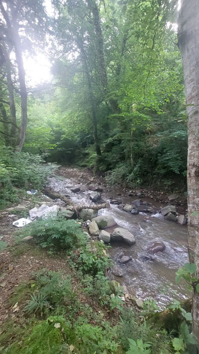 زمین مسکونی