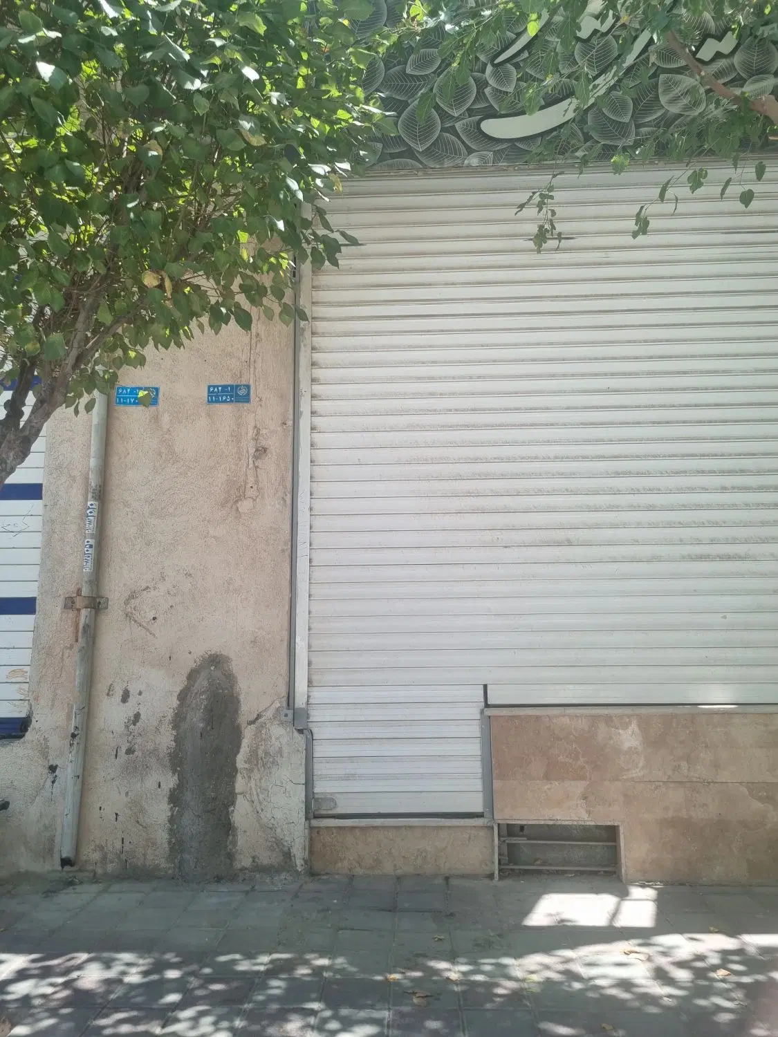 مغازه تجاری سند تکبرگ