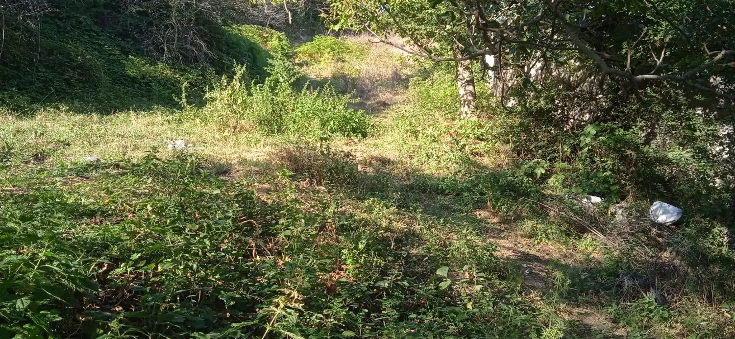 گردنه حیران روبروی تله کابین روستای حاجی امیر بالا