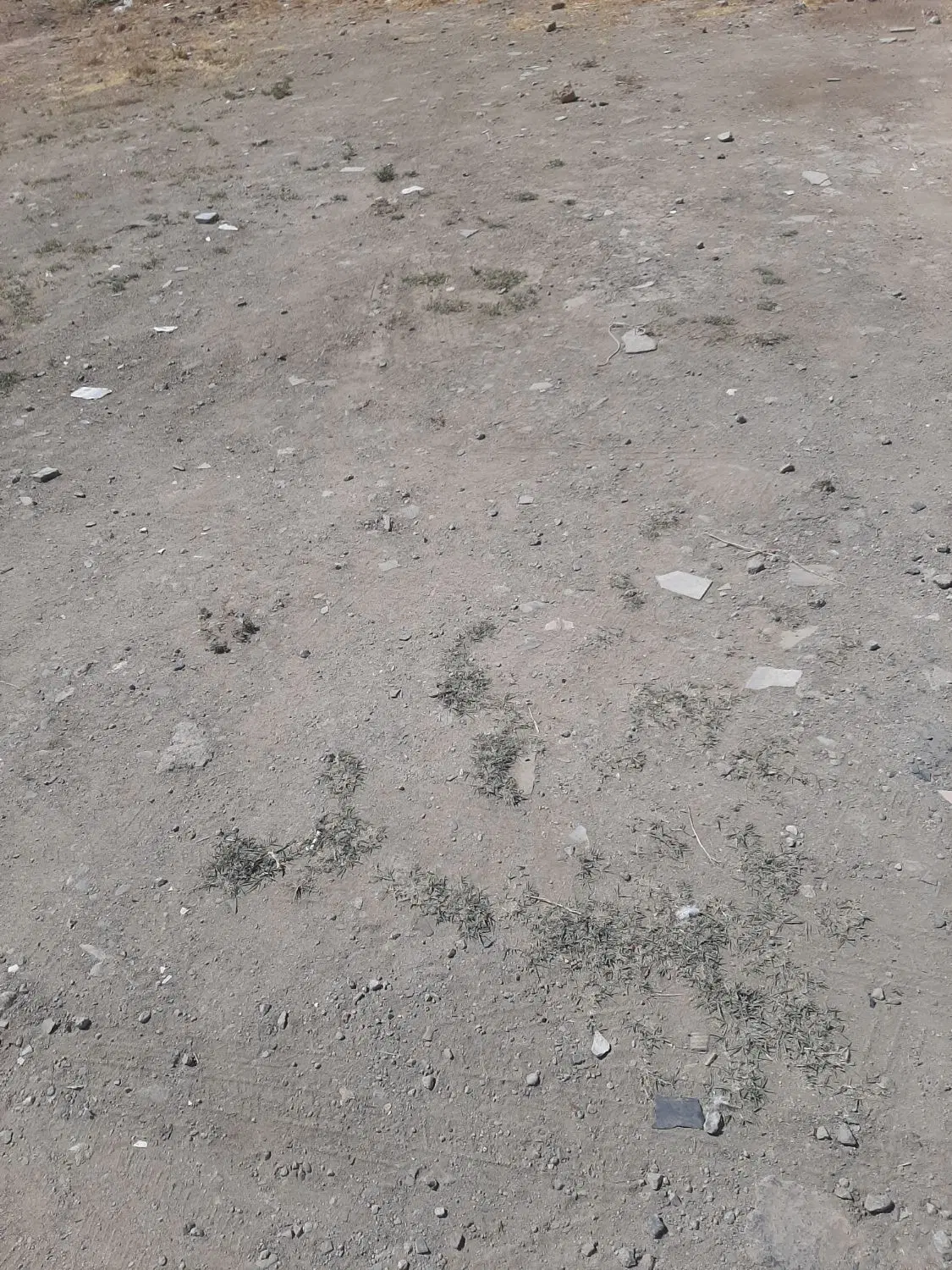 فروش زمین