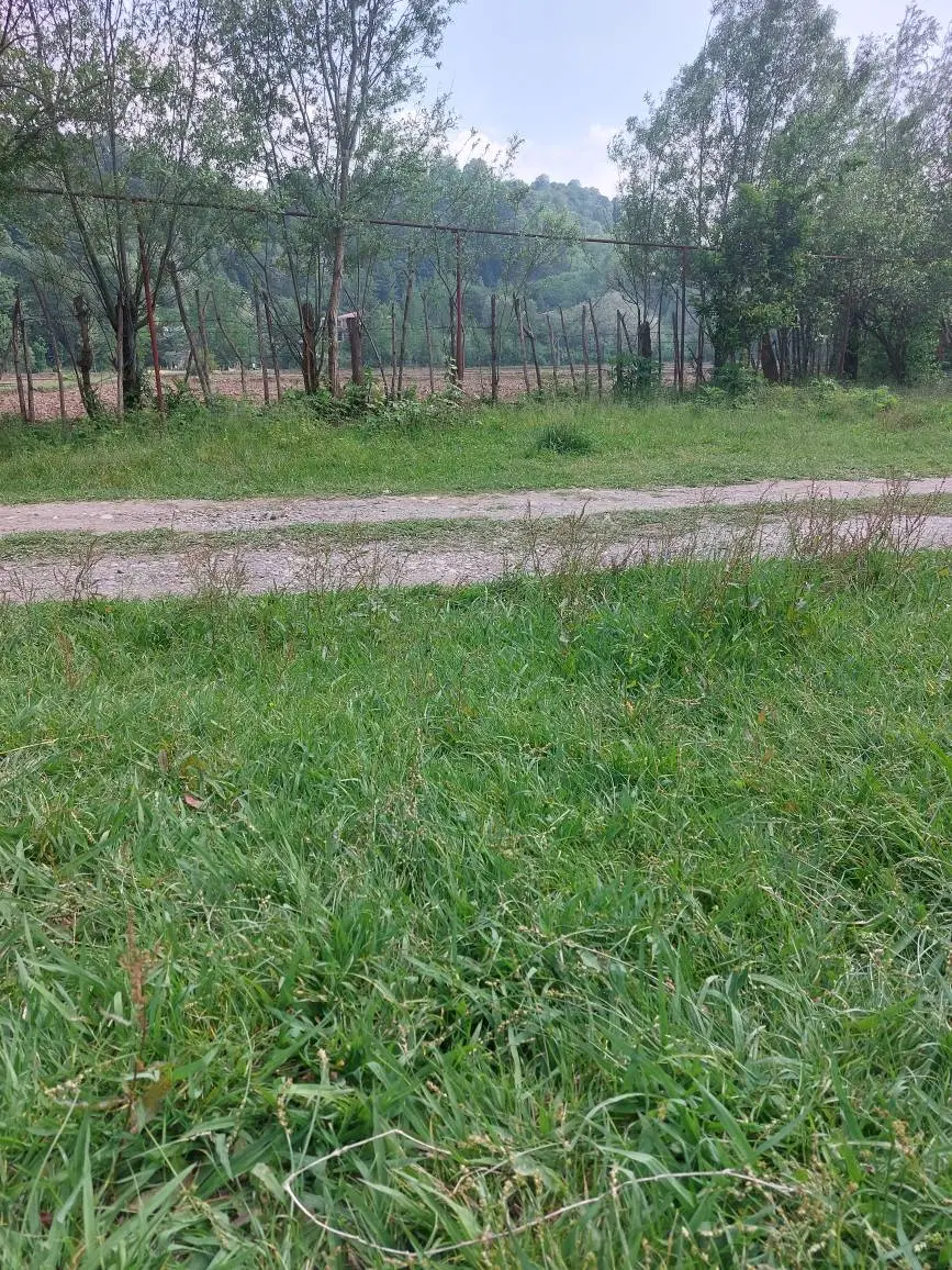 زمین مسکونی در گیلان
