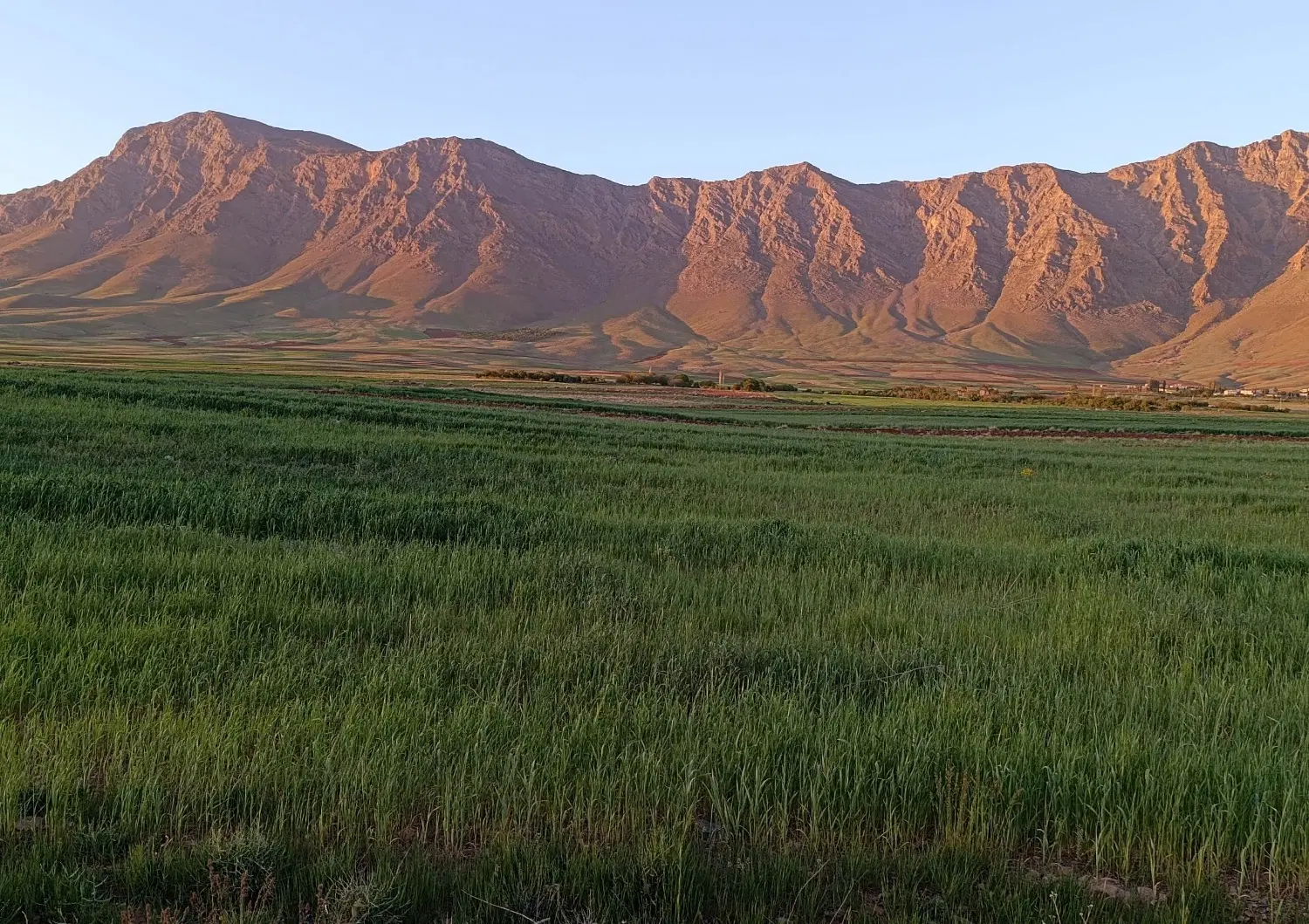 فروش زمین