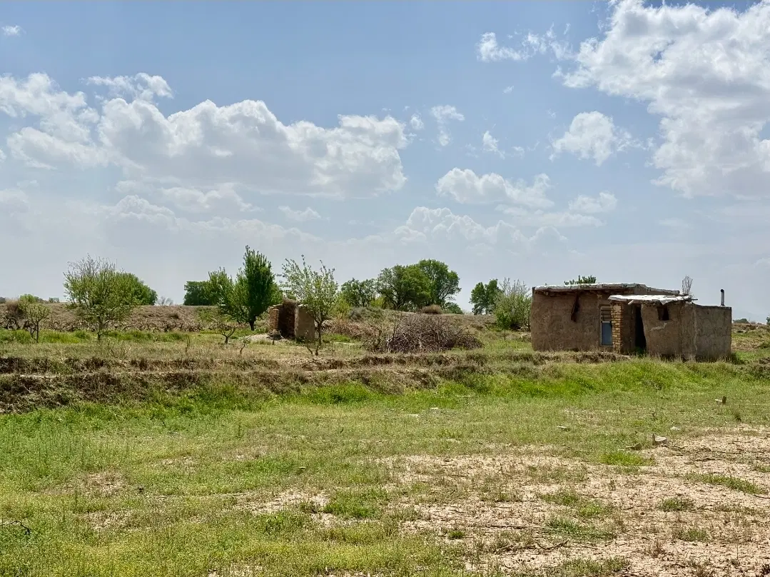 ۴ قطعه از ۱۰ قطعه باقی مانده
