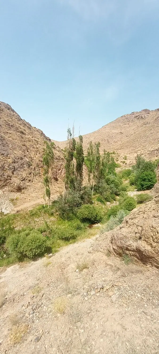 زمین فروشی مشکات