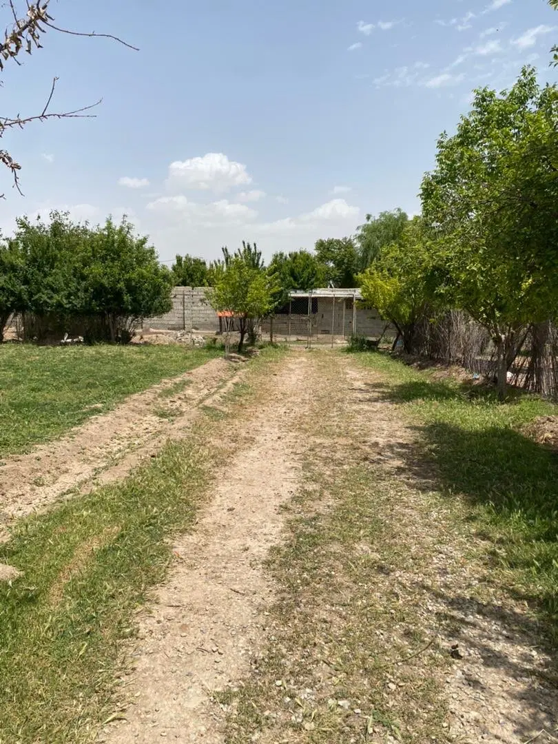 فروش زمین