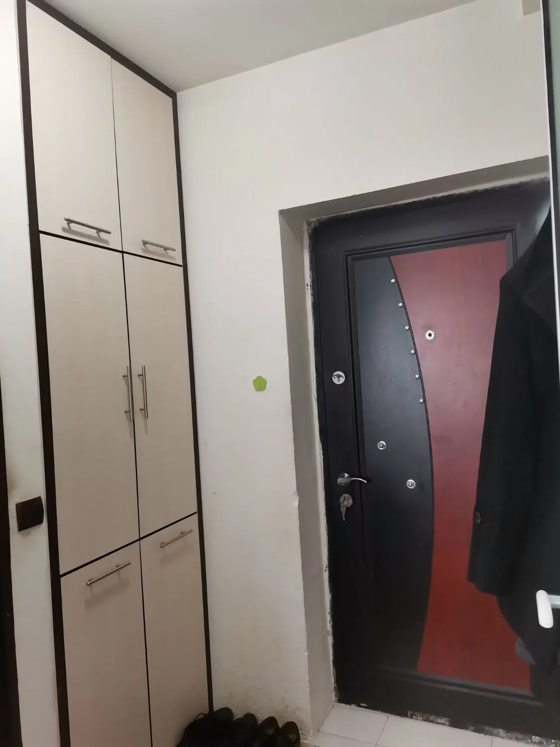 همخونه خانم