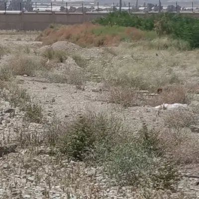زمین مسکونی ۱۲۴متری