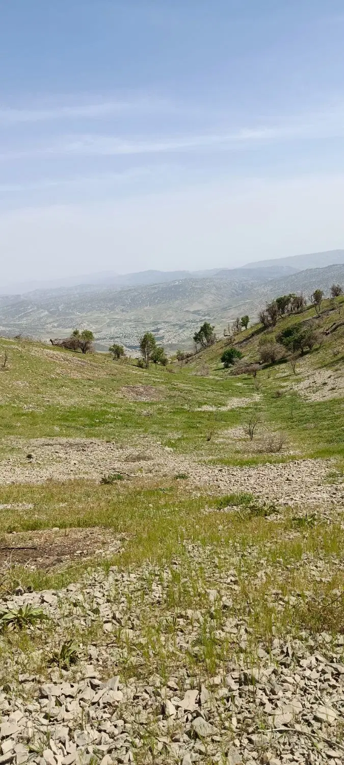 زمین مسکونی