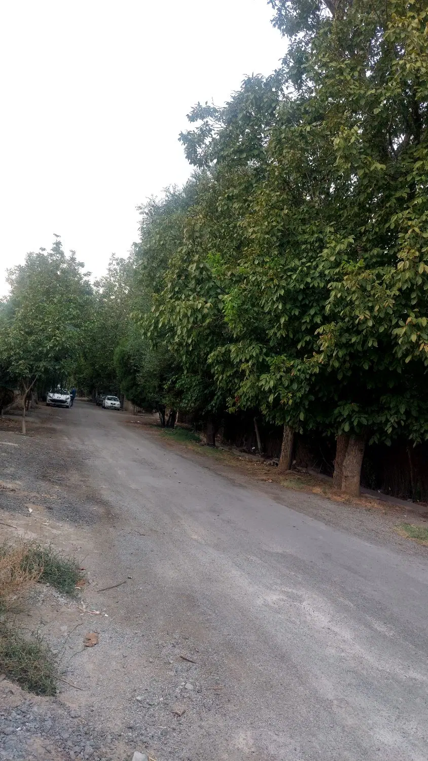 فروش ۶۰ هکتاز زمین در شهرک اندیشه