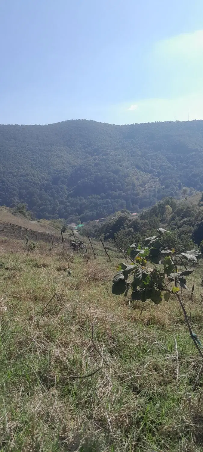 فروش زمین کاربری باغات سند تک برگ گردنه حیران