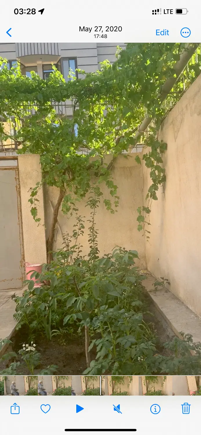 ملک