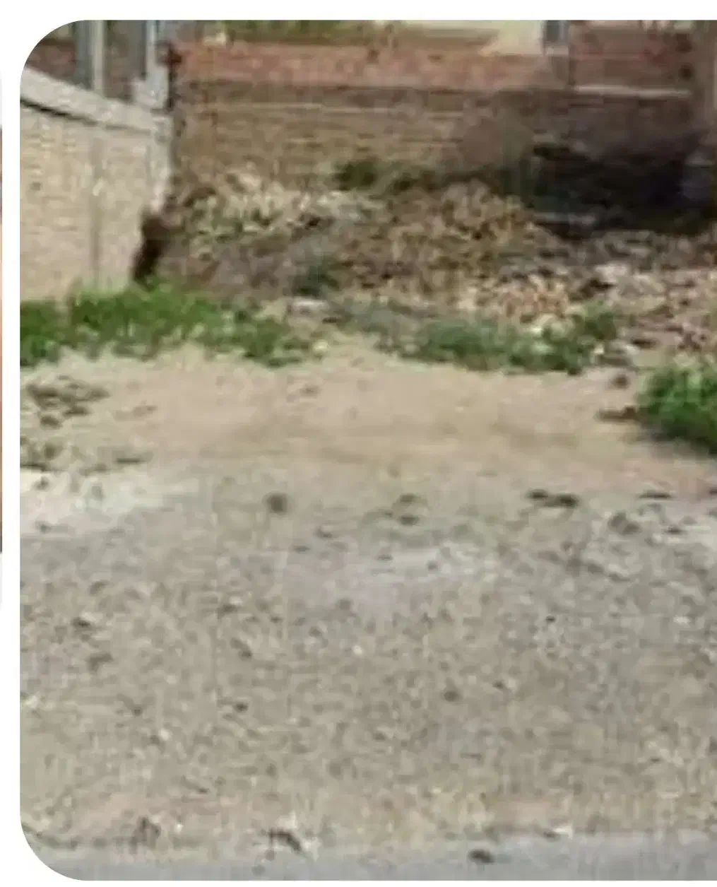 فروش زمین تجاری