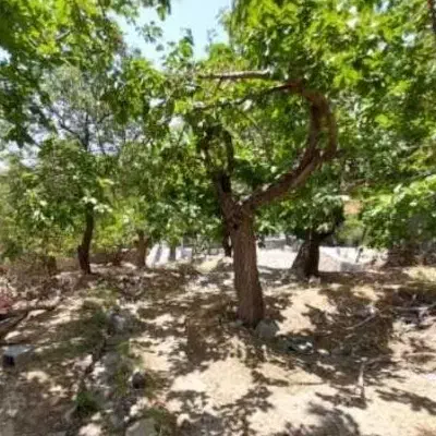 فروش باغچه ۱۱۰۰ متری جنب شهرک الهیه چهار باغ