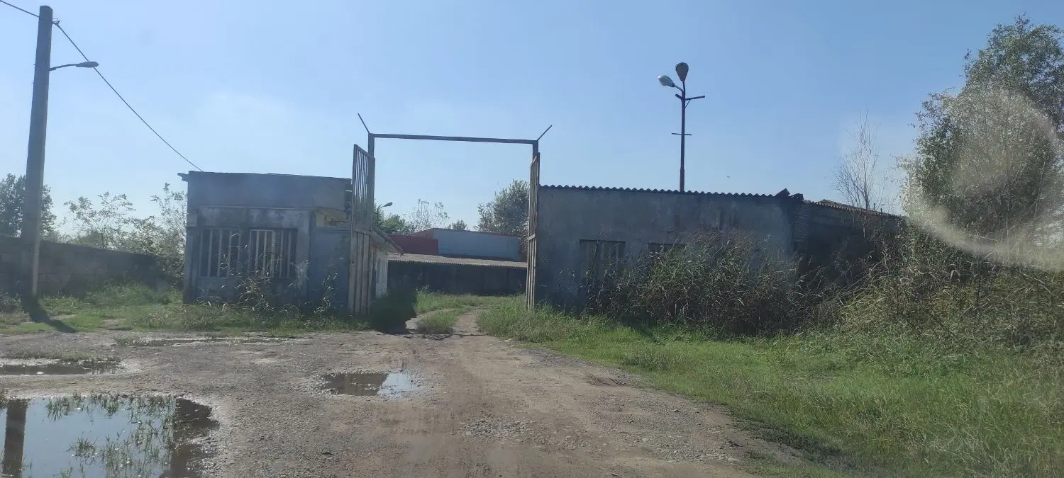 فروش کارخانه تولید کنسروماهی