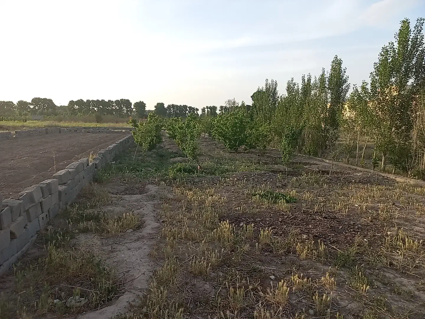 زمین باغچه ای عباس اباد 500متری