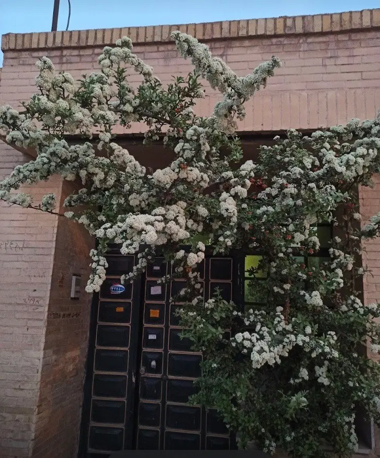 فروش منزل مسکونی
