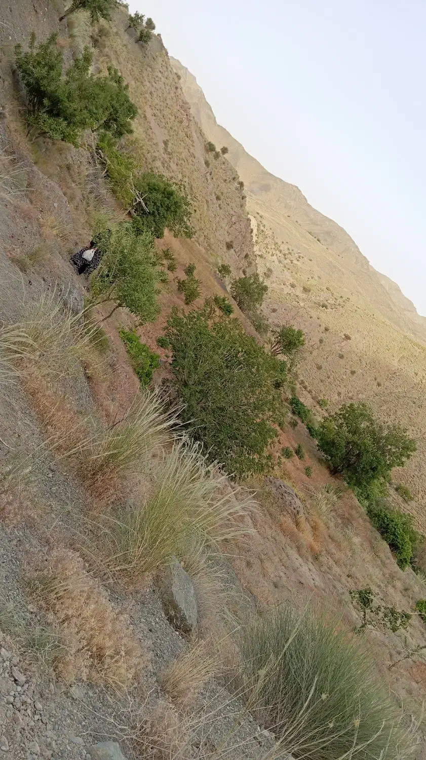 کلاته شخصی