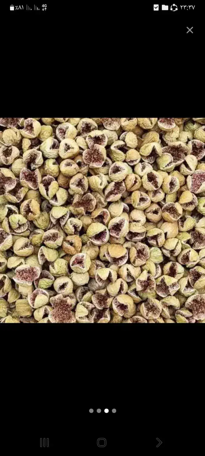 فروش ملک انجیر منطقه بید بخون