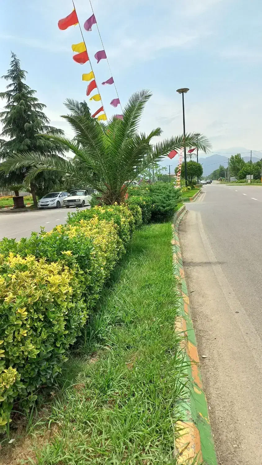 ۲۲۰ متر زمین مسکونی در مرکز شهر احمدسرگوراب