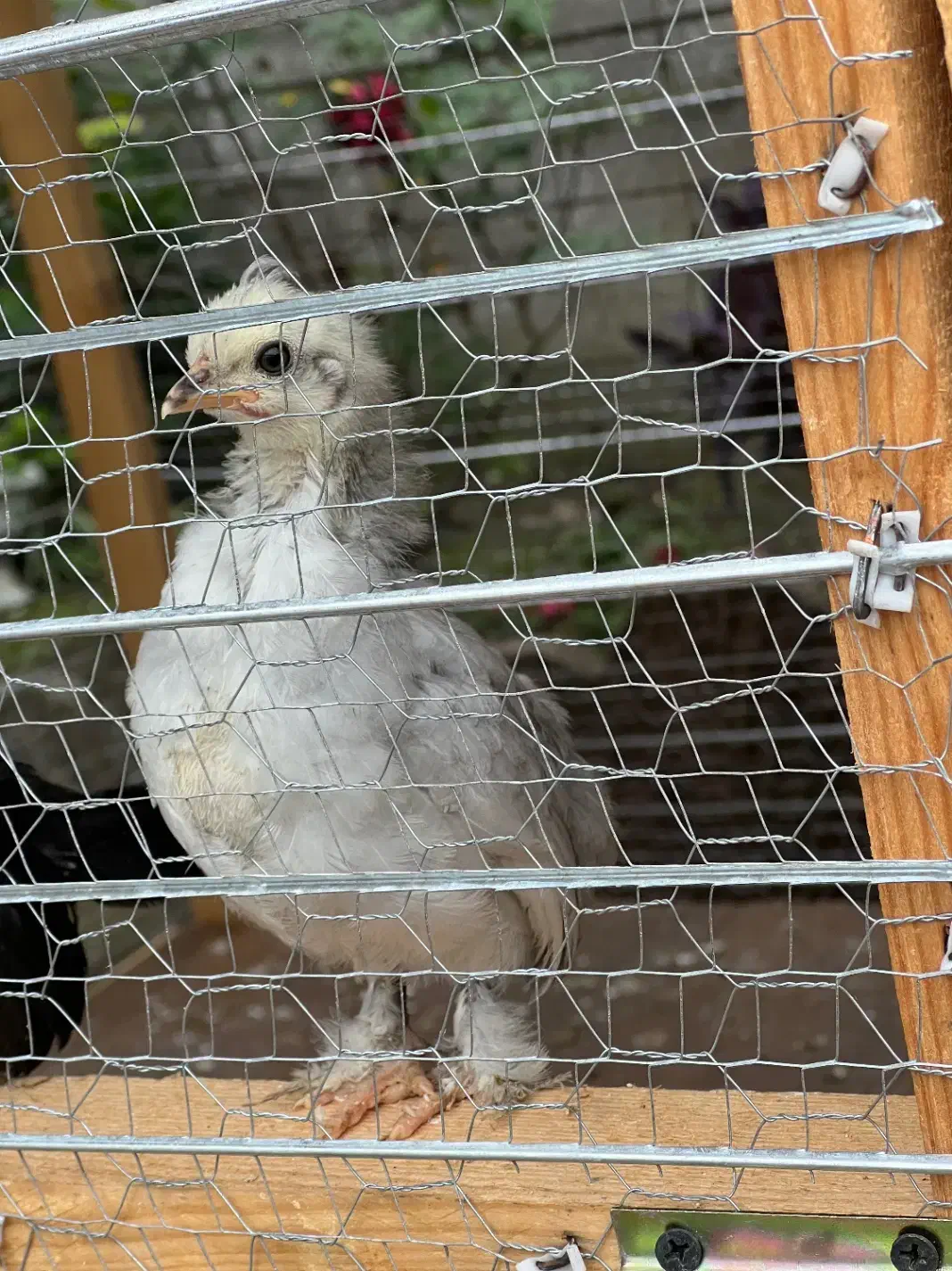 اجاره مغازه تجاری