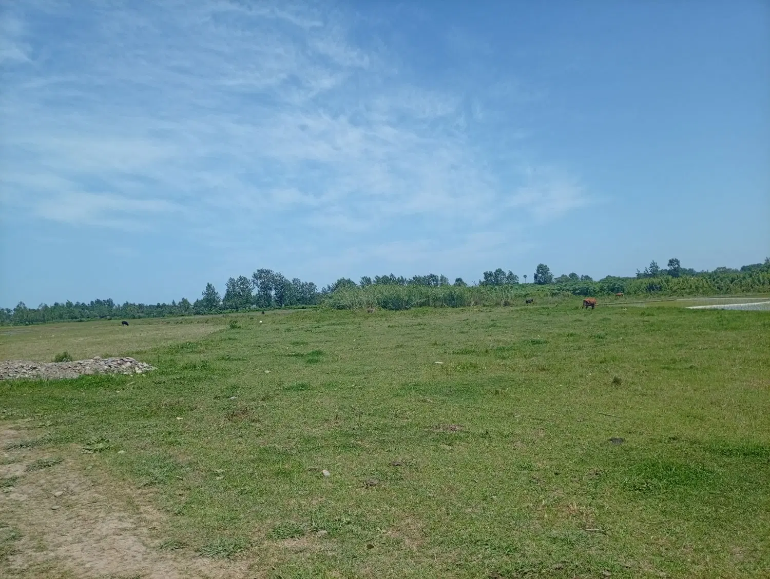 زمین باغی ۸۴۰۰ متری با پروانه گاوداری