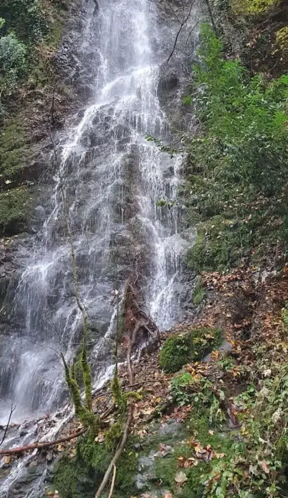 زمین مسکونی رویایی