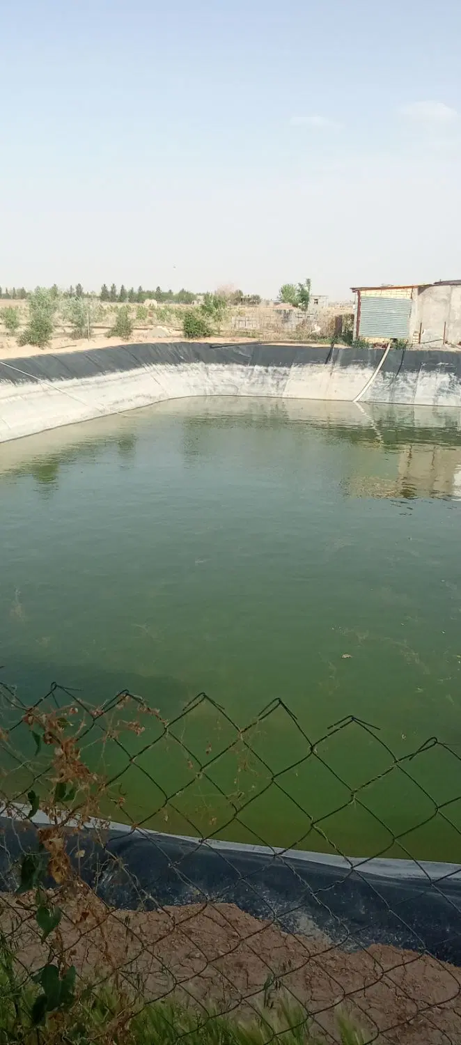زمین ۵۰۰ متری با قیمت عالی در گرگاب بهترین موقعیت