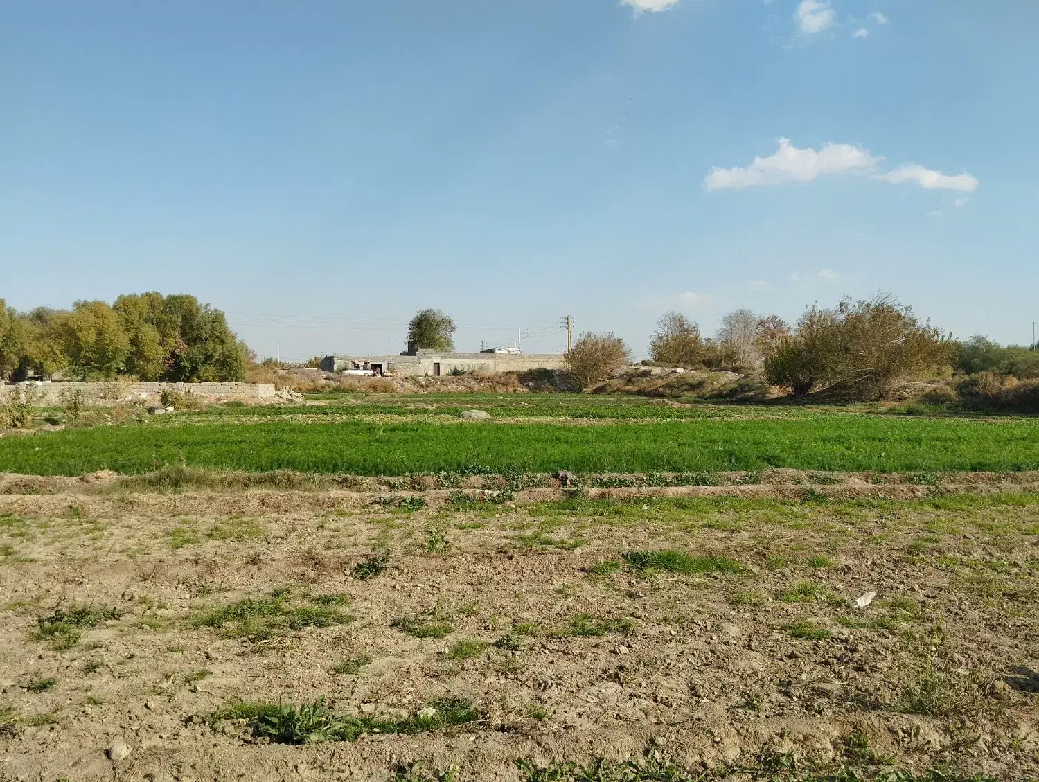 زمین کشاورزی