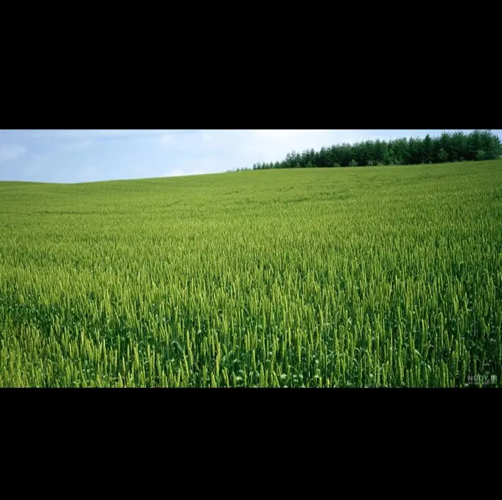 فروش زمین روستای سوارآباد