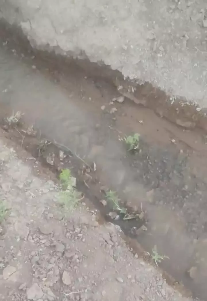 باغ