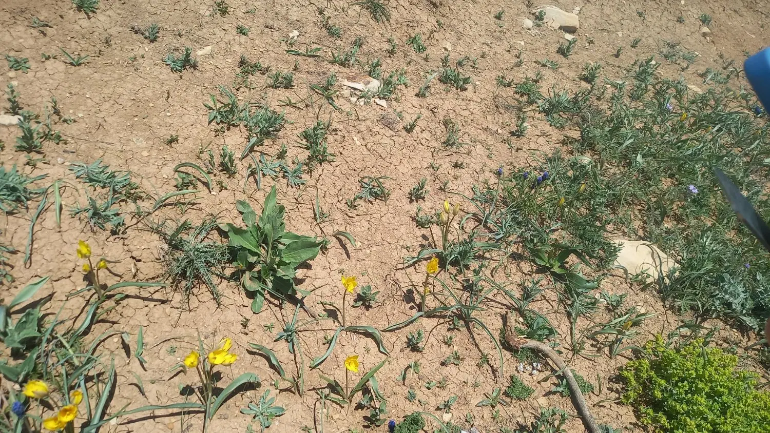 فروش زمین