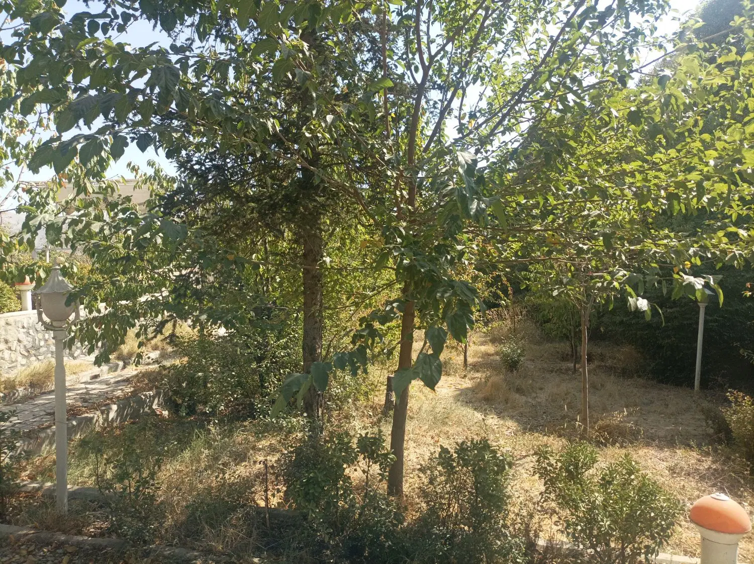 فروش ویلا سند شش دانگ ، کردان ، کوهسار