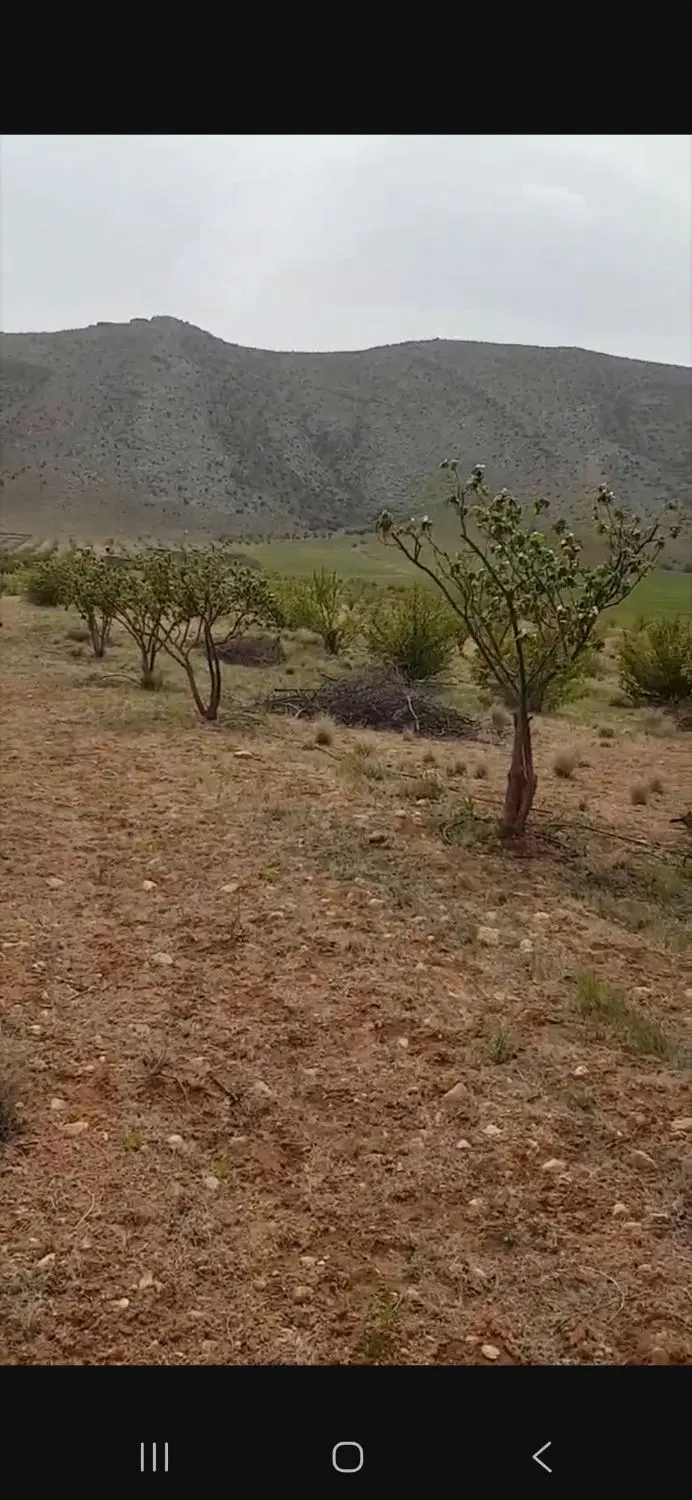 قطعه زمین در آبپرده