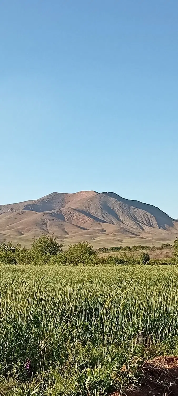 گوار زمین باغی با درخت و آب