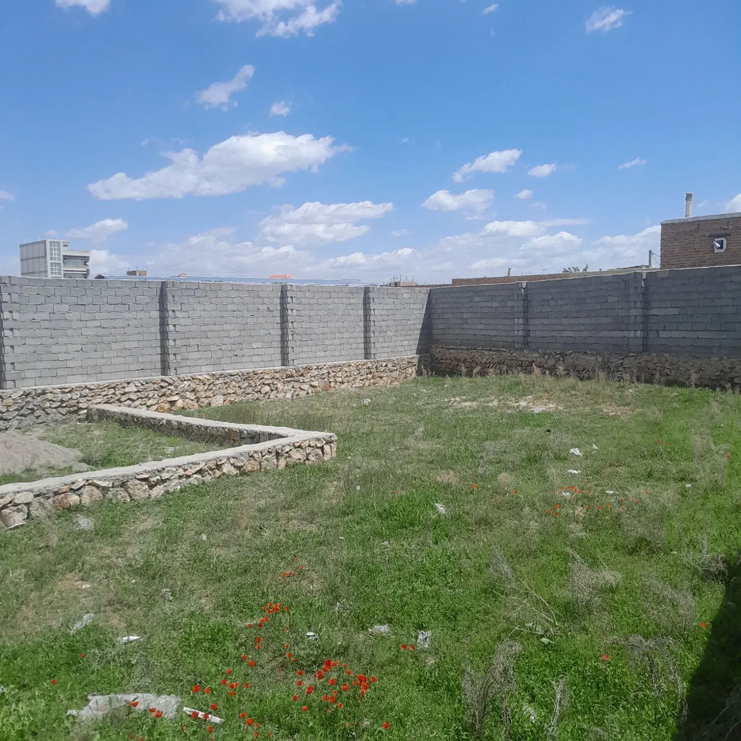 فروش زمین مسکونی واقع در بناب روستای علیخواجه