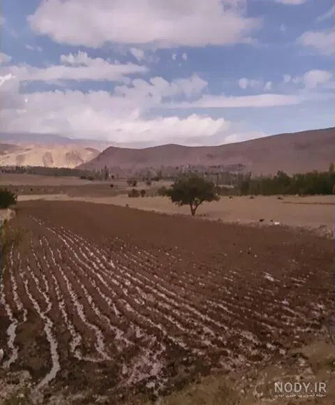 زمین