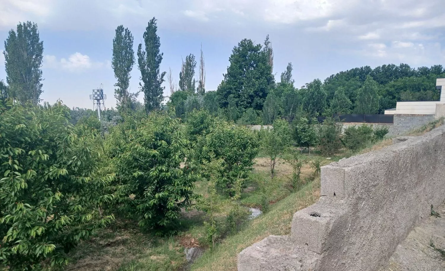 زمین ۶۸۴ متری