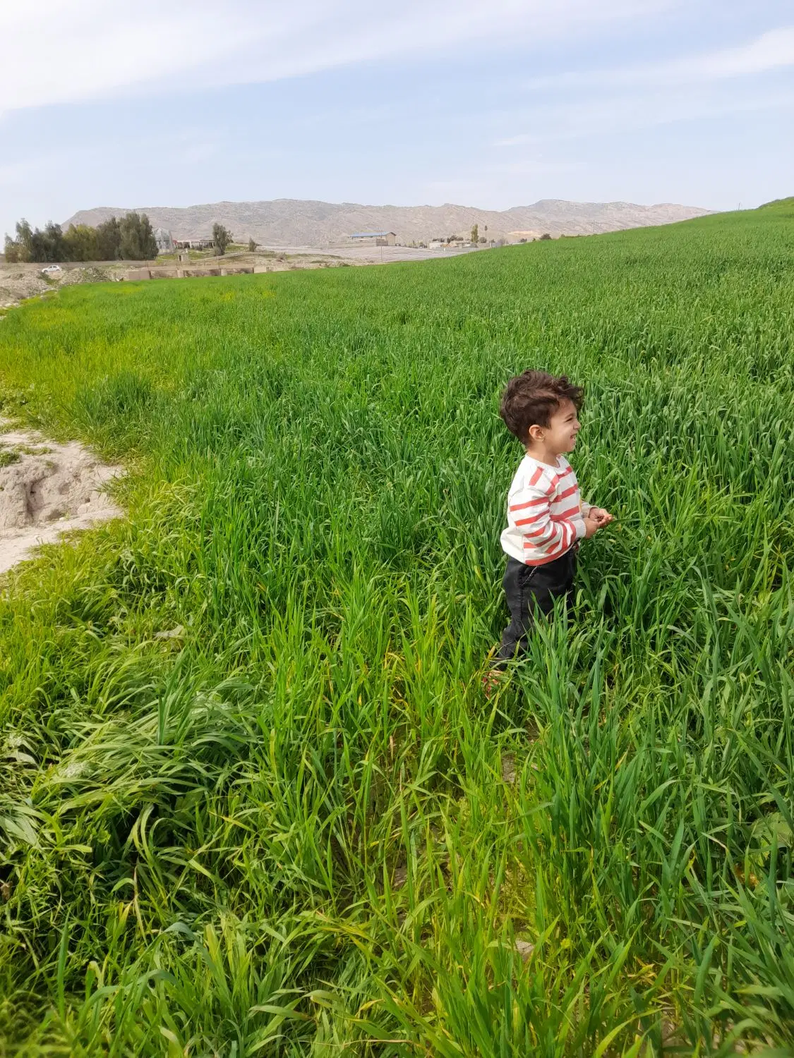 ۷۰۰ متر زمین در روستا