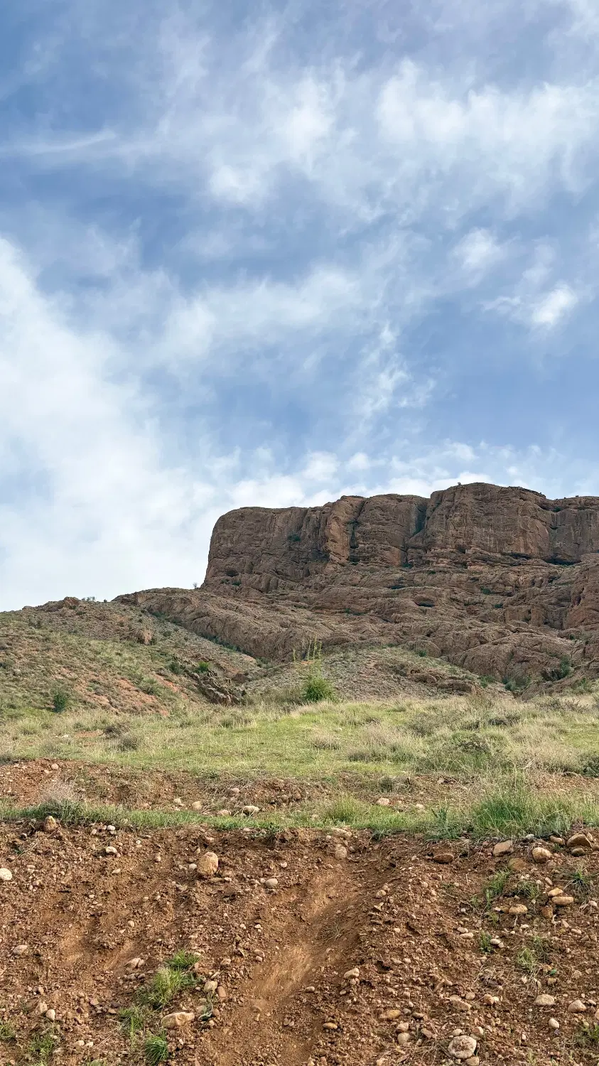 زمین باغی چاهبردی