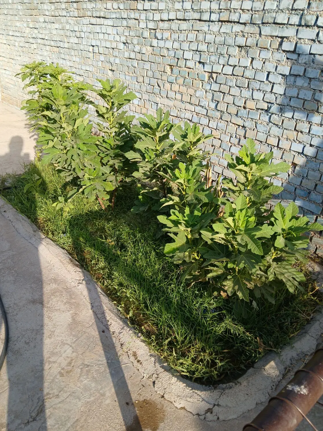 پلاک زمین مسکونی نوترگی