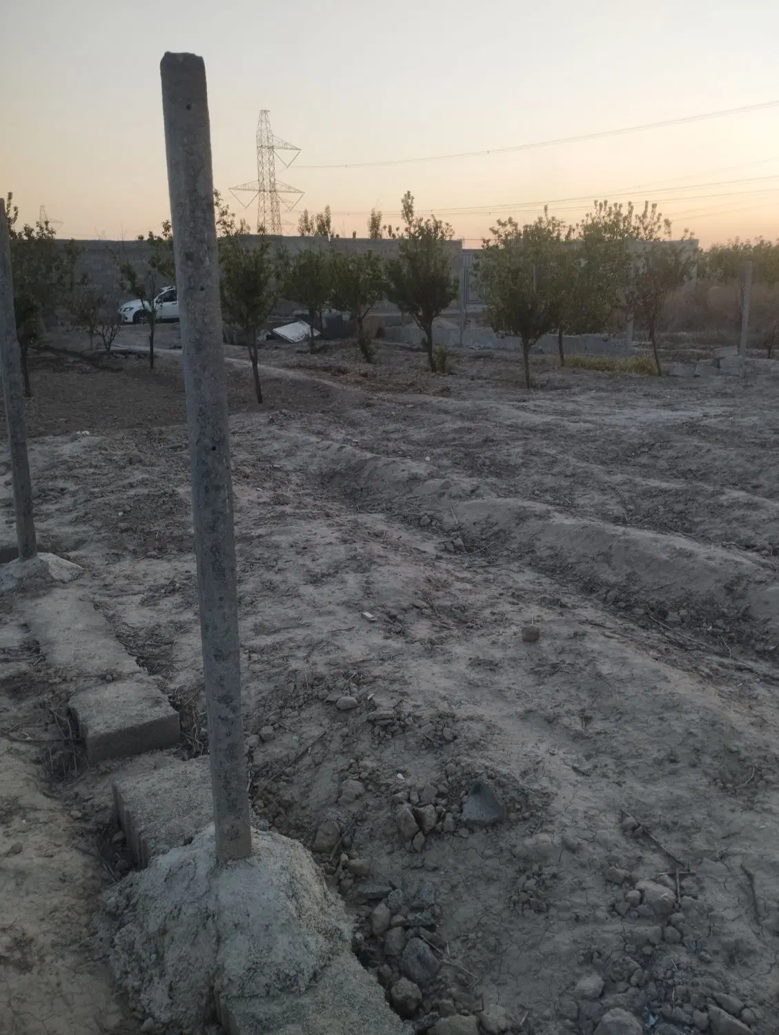 باغچه 476متری درختان میوه مثمر