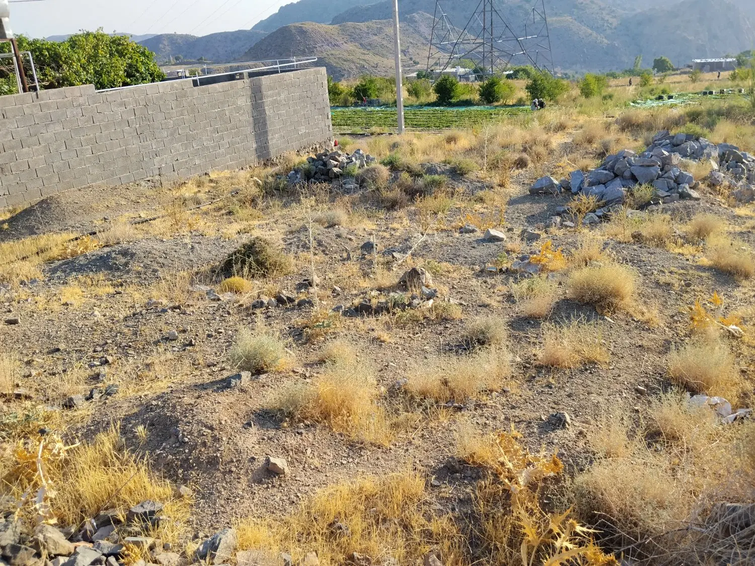 20قصب زمین جبالبارز مسکون