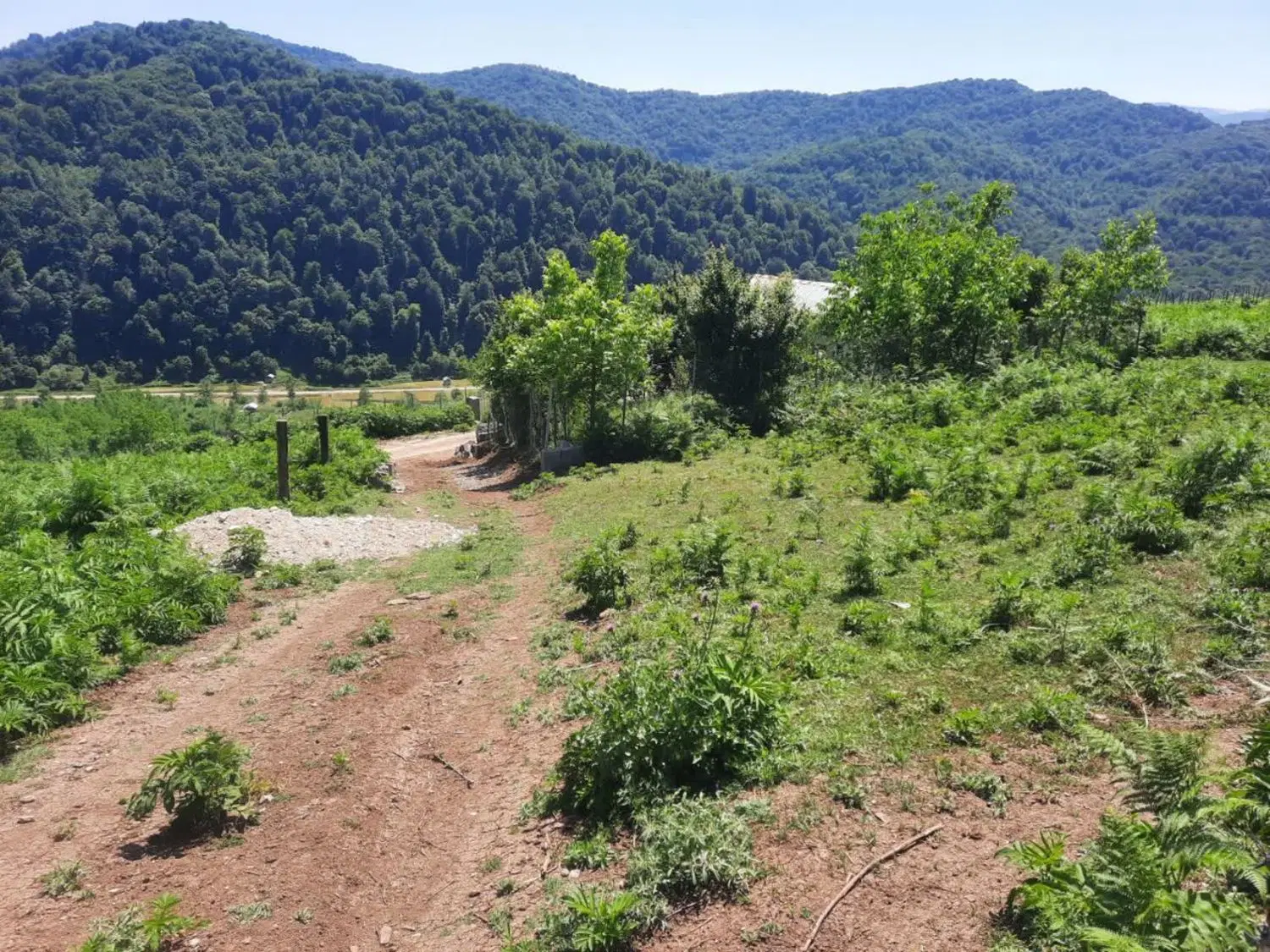 فروش زمین باغی