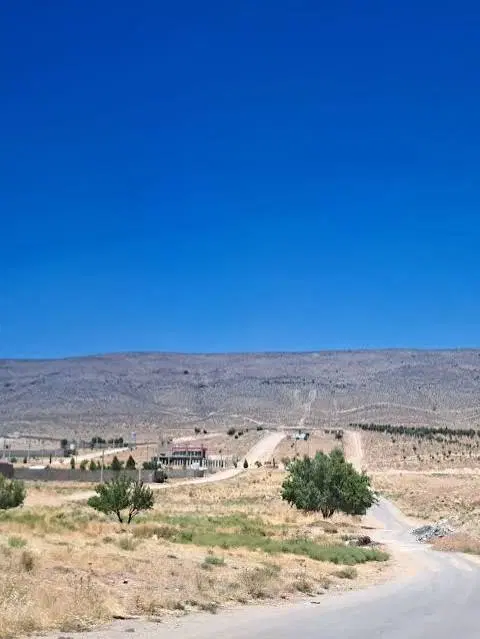 ۶۵۰ متر زمین صدرا قصر سبز