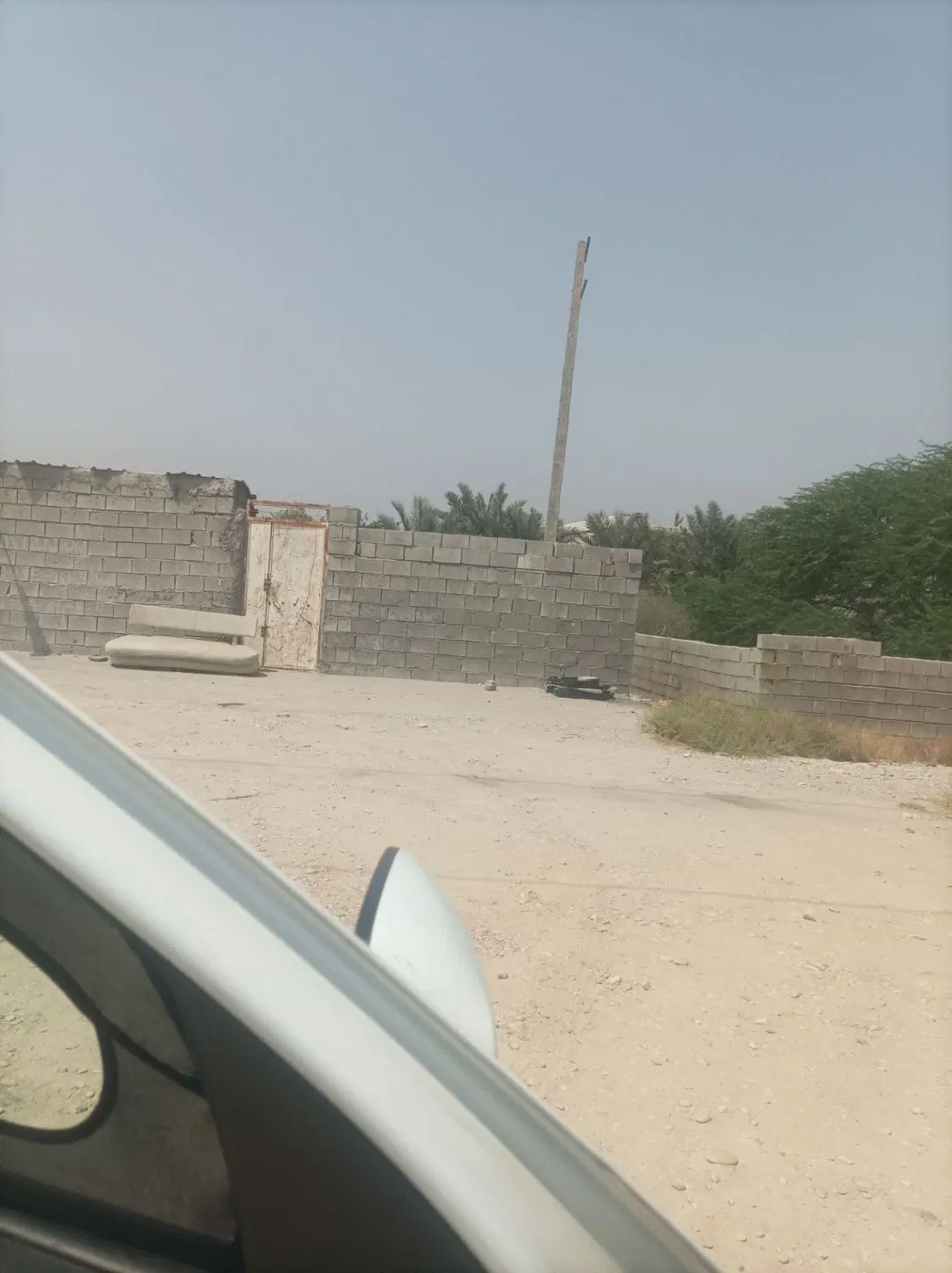 خانه تازیان
