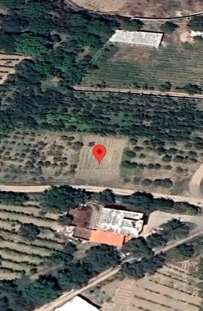 زمین