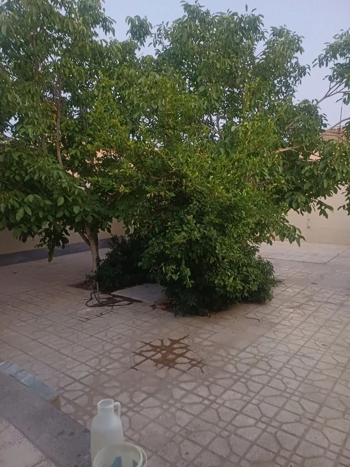 خانه ویلایی بزرگ واقع در گز برخوار